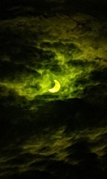 Auringo pimennys 2022 lukijan kuva