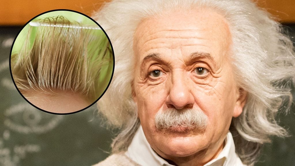Kuvassa Einstein-vahanukke Istanbulissa sijaitsevasta Madame Tussaud -museosta.