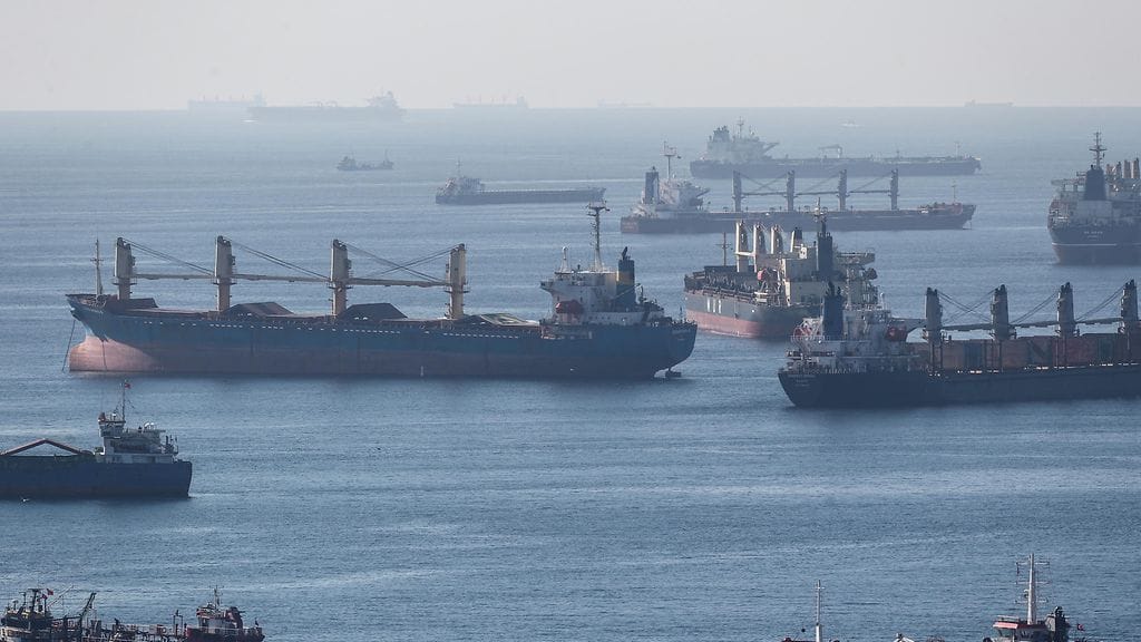 Ukrainalaista viljaa kuljettavia aluksia Istanbulin edustalla 22. lokakuuta.