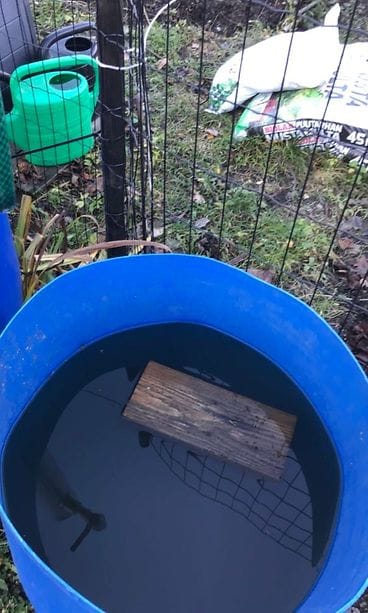 Oravan pelastuslautta