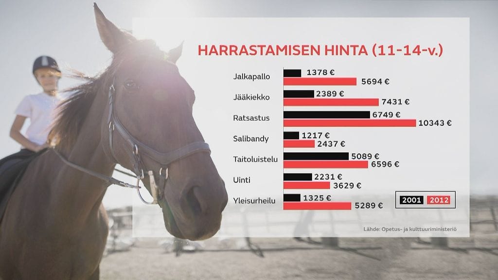 Oma harrastamisen hinta -graafi