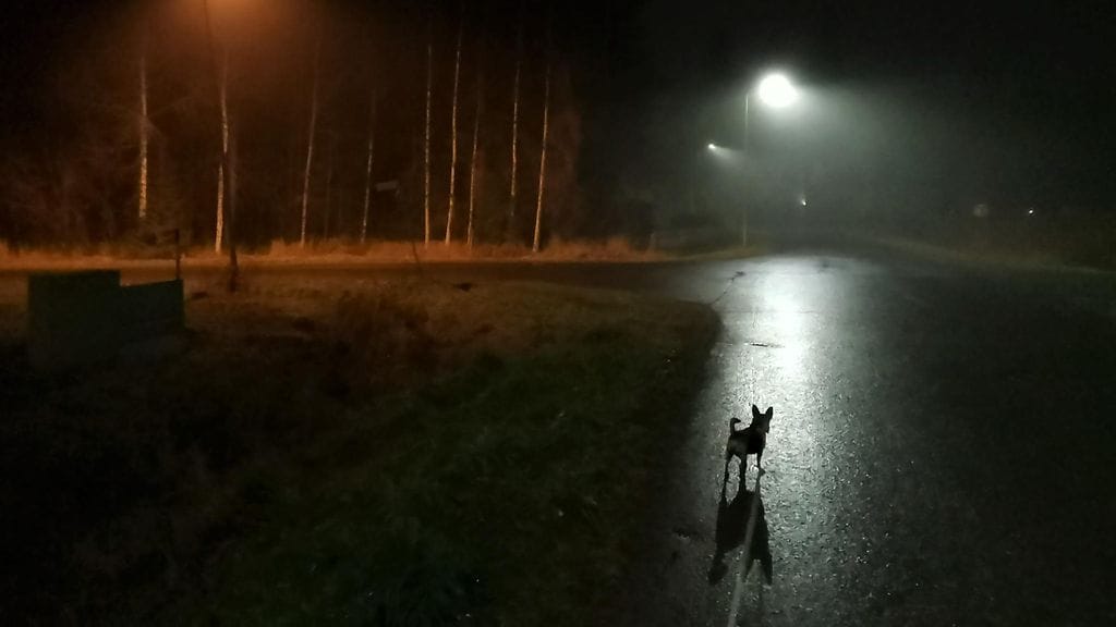 Loppusyksy, marraskuu, alkutalvi, ilta, yö, koira ”Koiraa ulkoiluttaessa täytyi ottaa muutama kuva mystisestä illasta!” Kuva otettu Haukiputaalla 7.11.2022 noin kello 20.32.