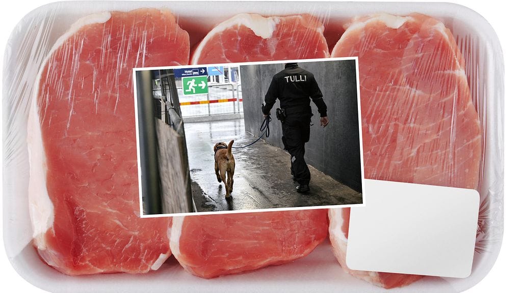 Tullin ruokakoirat onnistuivat tehovalvonnassa erinomaisesti.