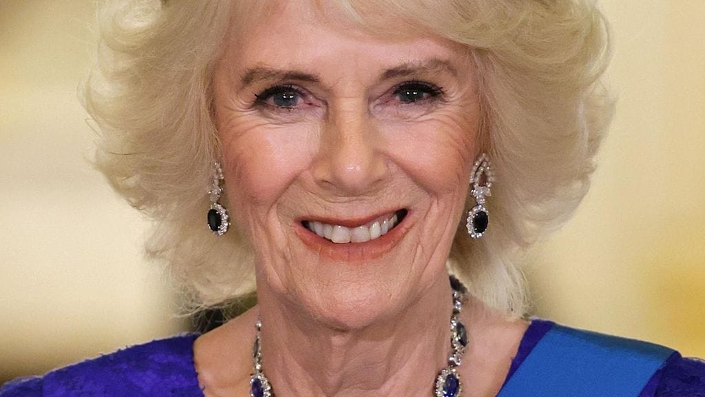 Kuningatarpuoliso Camilla marraskuussa 2022.