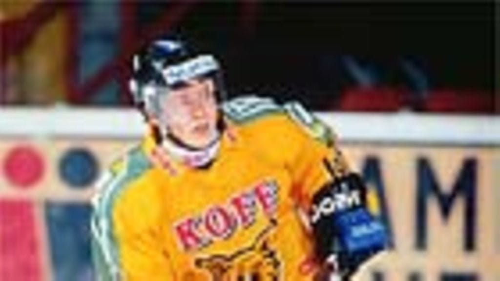 Dahlman, Toni - Ilves