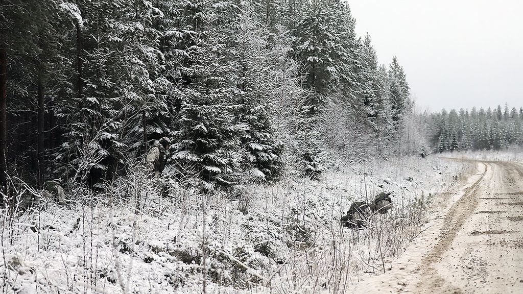 Kuinka monta pioneeria näet kuvassa?