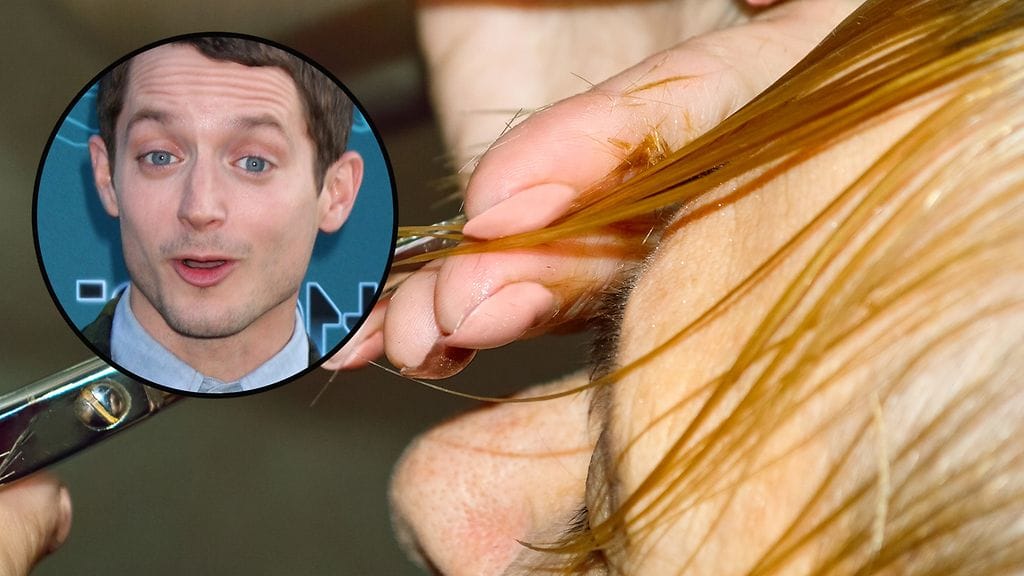 Otsatukan leikkuu johti huomattavaan yhdennäköisyyteen Frodo Reppulin kanssa. Pienemmässä kuvassa Frodoa näyttelevä Elijah Wood.