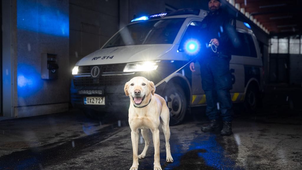 Vuoden poliisikoira 2022