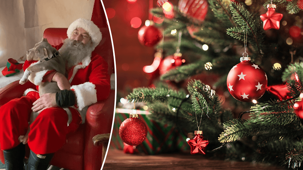 kotlantilainen Nicola Gillespie vei neljän kuukauden ikäisen koiranpentunsa tapaamaan joulupukkia. Ilo oli molemminpuolinen.