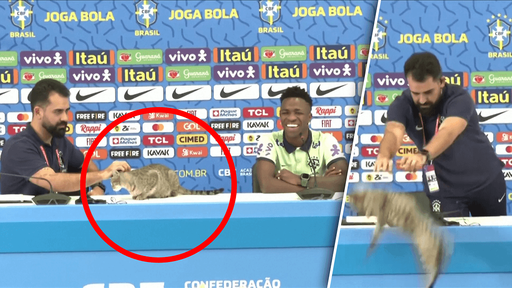 Kissa keskeytti Brasilian lehdistötilaisuuden MM-kisoissa.