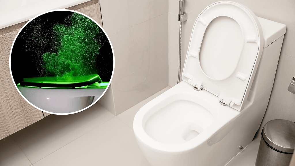 Tiedemiehet sanovat, että vessan vetämisestä syntyvä "näkymätön sumu" – joka sisältää mikroskooppisia virtsan, ulosteen ja kaiken muun pytyssä olevan hiukkasia.