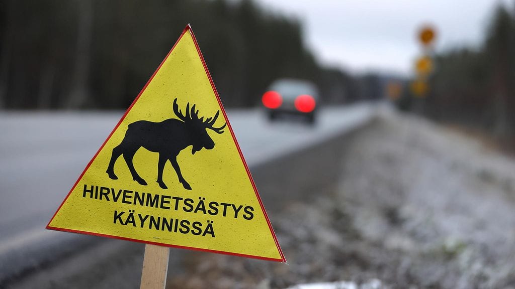 Metsästäjä ampui luvallisella metsästysaseella hirveä, mutta laukaus osui toiseen saman metsästysseurueen jäseneen.