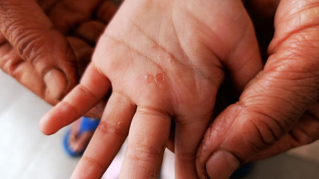 shutterstock_1819017329