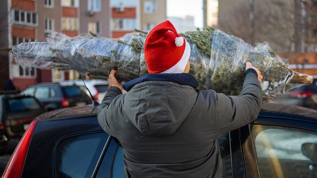 Joulukuusen kuljetus kotiin vaatii suunnittelua.