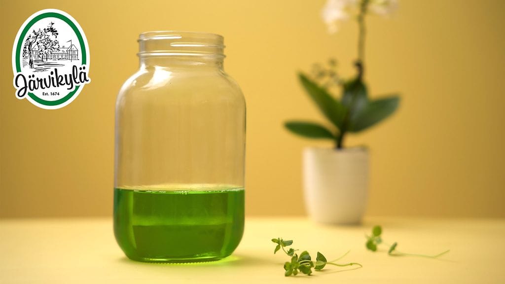 MAINOS Famifarm yrttiöljy