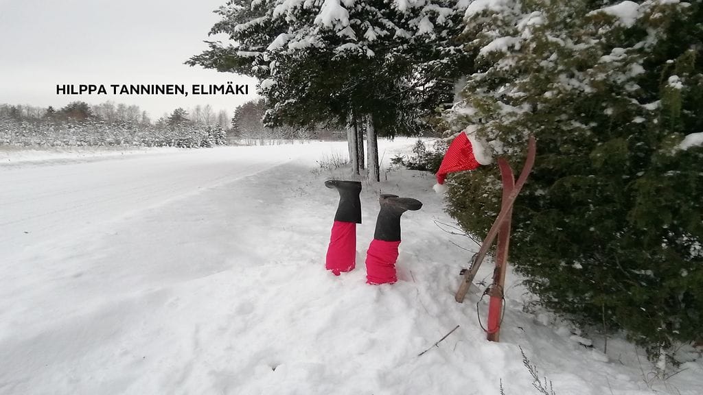 2312-UA-kuvakisa-Tanninen