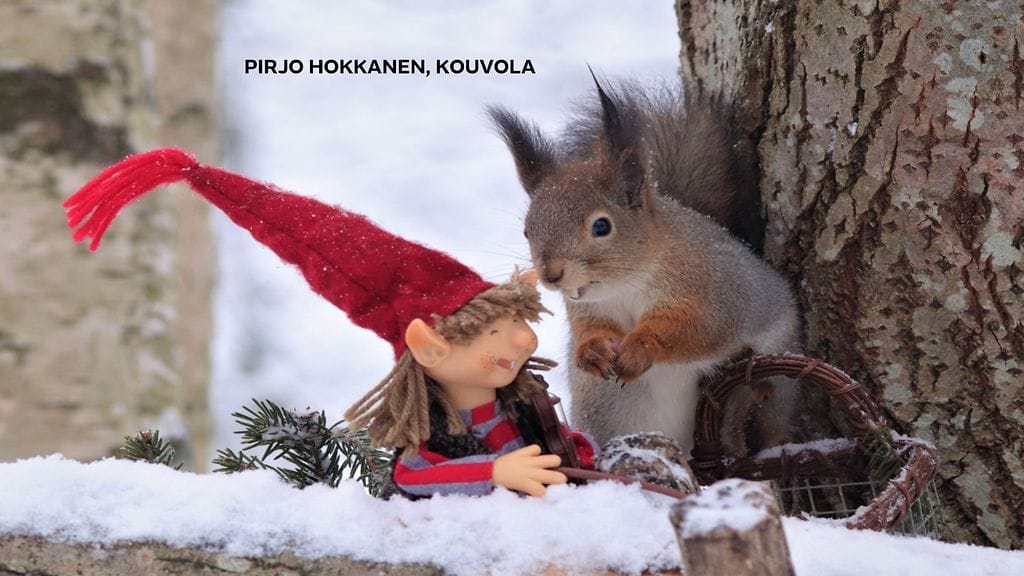 2312-UA-kuvakisa-hokkanen