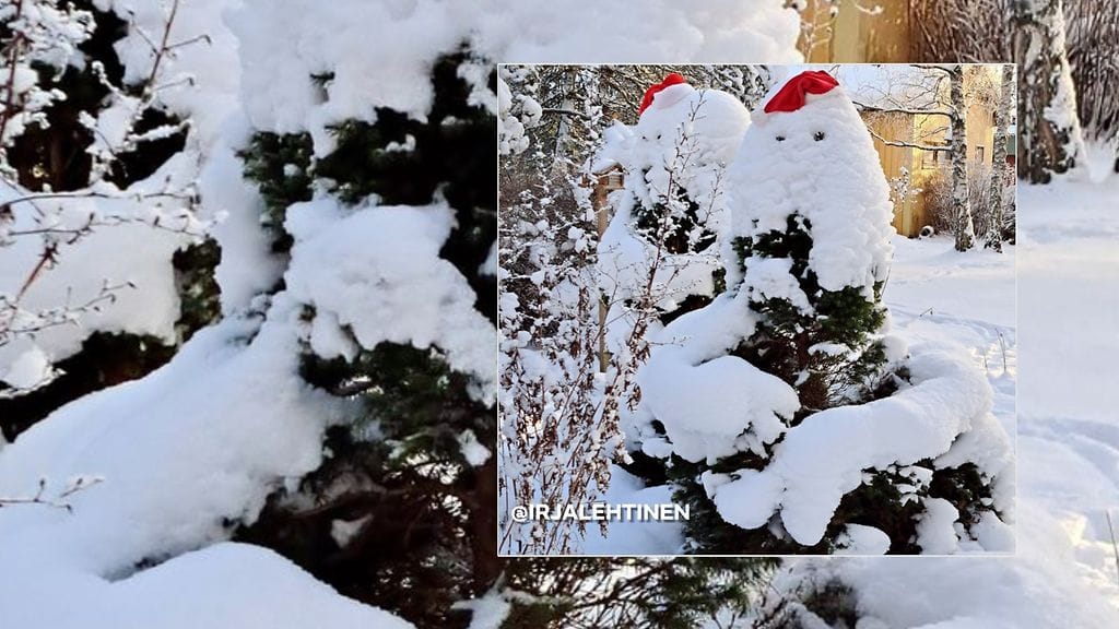 2312-UA-kuvakisa-Lehtinen