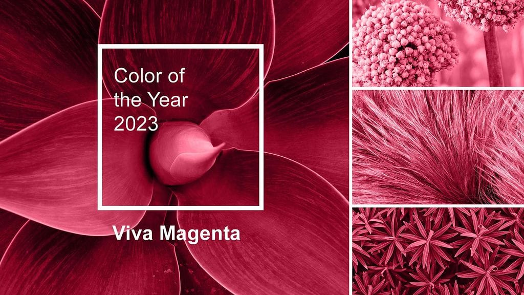 shutterstock_2233130709