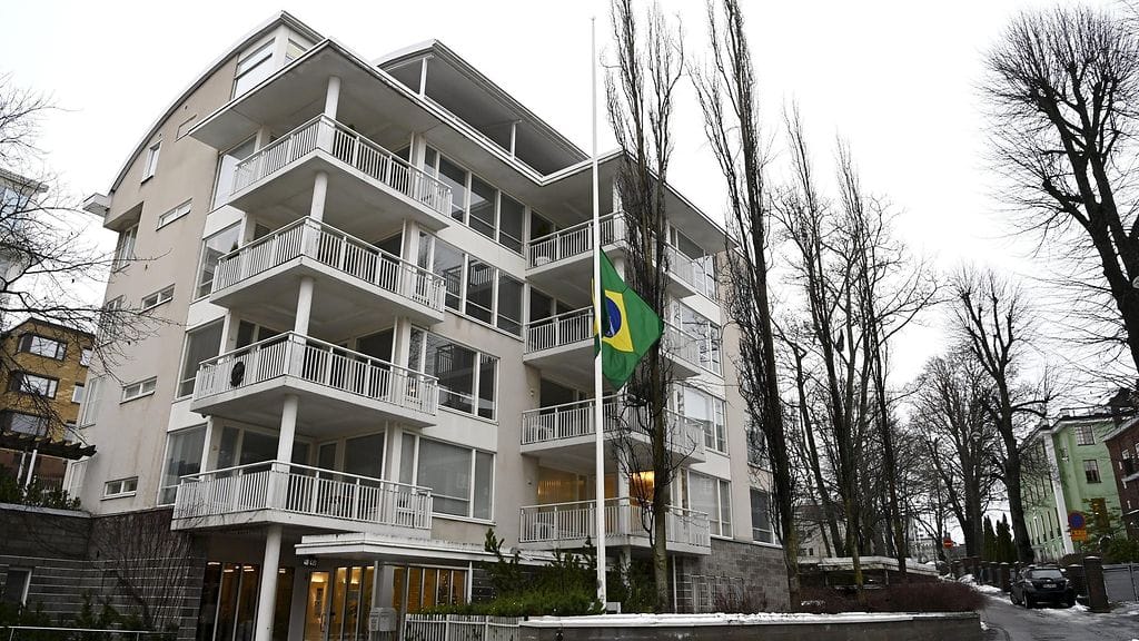 Brasilia suruliputus lehtikuva