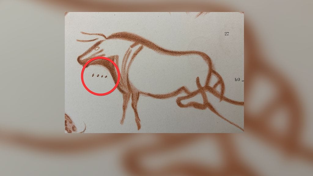 Luolamaalaus, Durham University