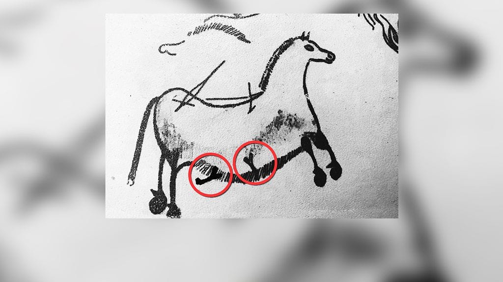 Luolamaalaus, Durham University (2)