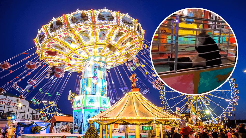 Nainen kompastuu italialaisen huvipuiston kauhutalossa ja järjestää huvittavan show:n kaikille huvipuiston vieraille.