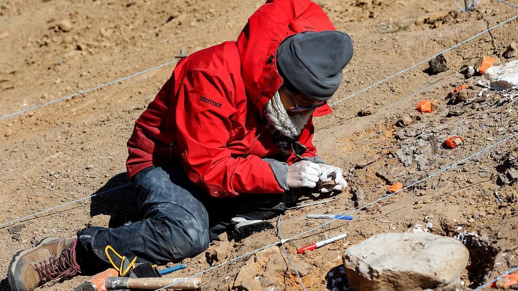 Chileläinen tutkija Valentina Poblete luulöytöjen parissa Rio de las Chinasin laaksossa helmikuussa 2020.