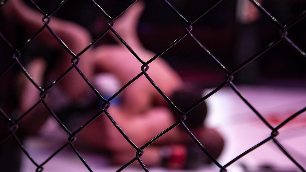 Ukrainan vapaaotteluliitto kertoi suru-uutisesta. Kuvituskuva.