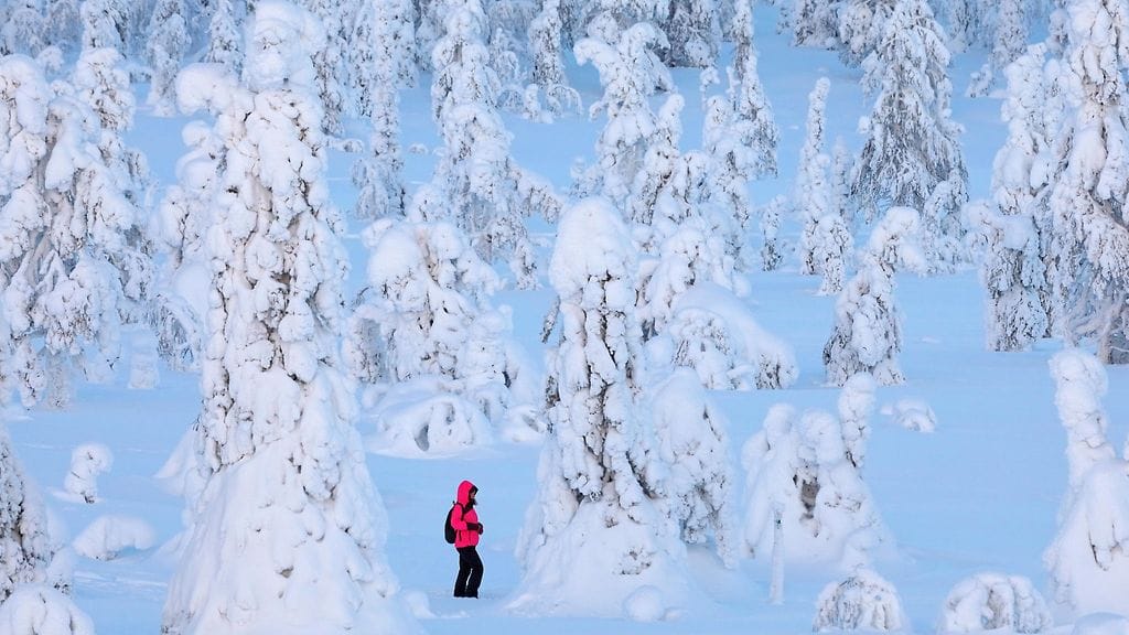 Kuvituskuva Riisitunturilta.