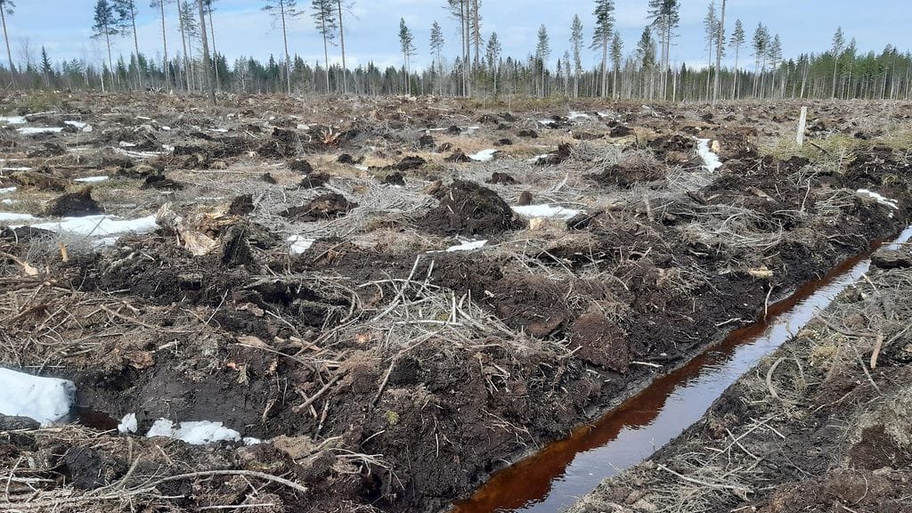 Vesistöt, oja, tummuminen