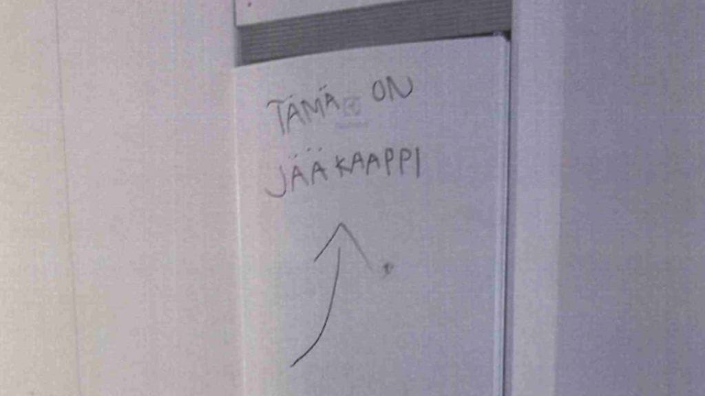 torkea-vahingonteko-7