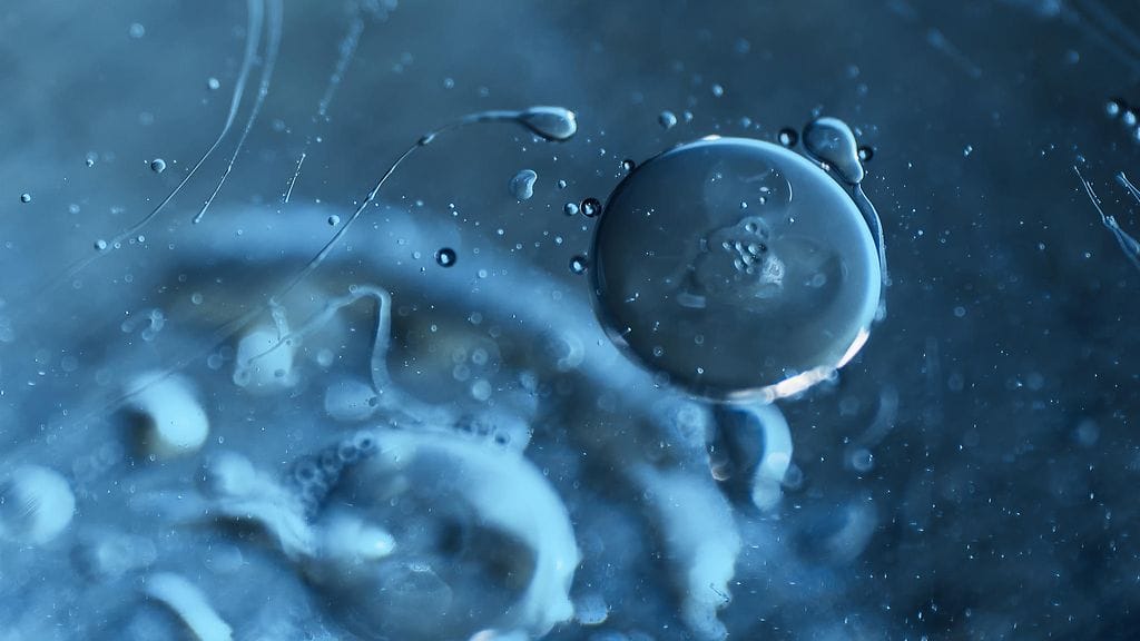 hedelmöittyminen, siittiö, munasolu