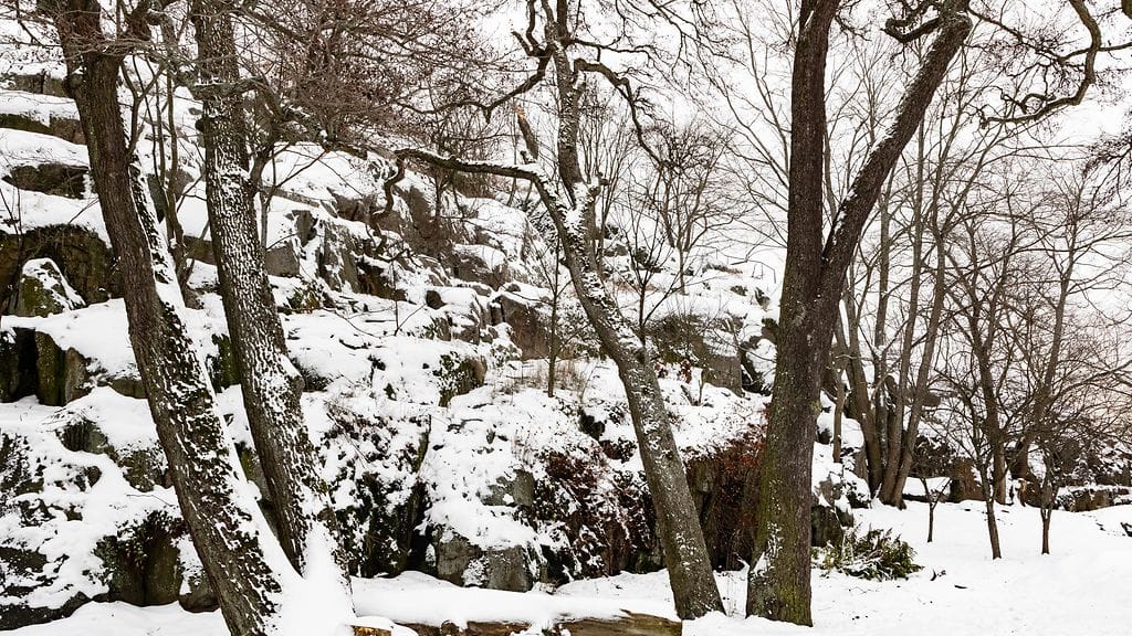 Kuvituskuva ei liity tapaukseen.