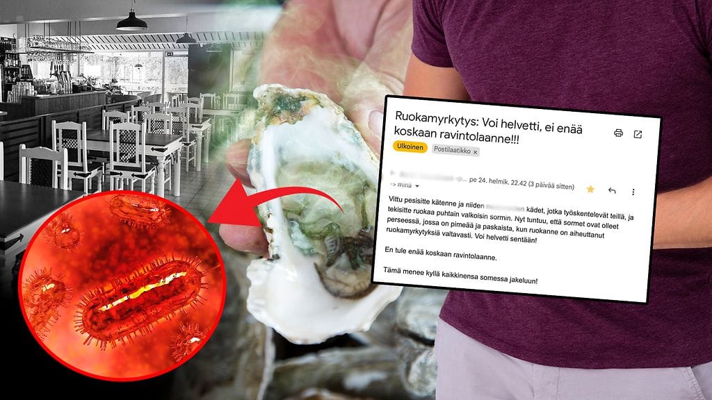 Ruokamyrkytysepidemia osterit törkyviestit