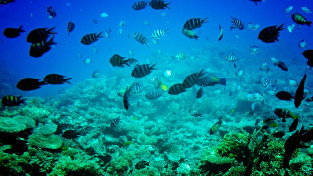 Suomalaispariskunta viihtyi Belizessä kymmenen vuotta sitten. Kuvituskuva.