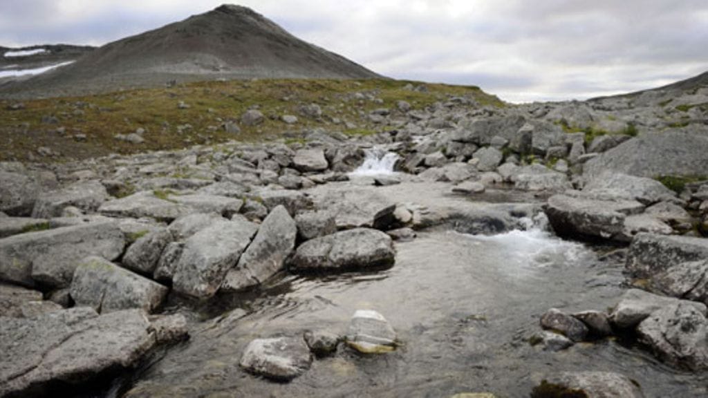 Lehtikuva/Mikko Stig