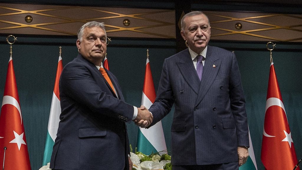 Unkarin Orban ja Turkin Erdogan marraskuussa 2021.