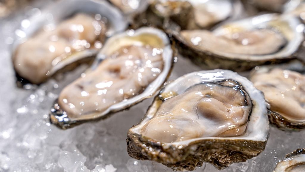 Aiemmin Helsingissä todettiin ostereihin liittyvä ruokamyrkytysten aalto vuoden 2023 helmi–maaliskuussa.