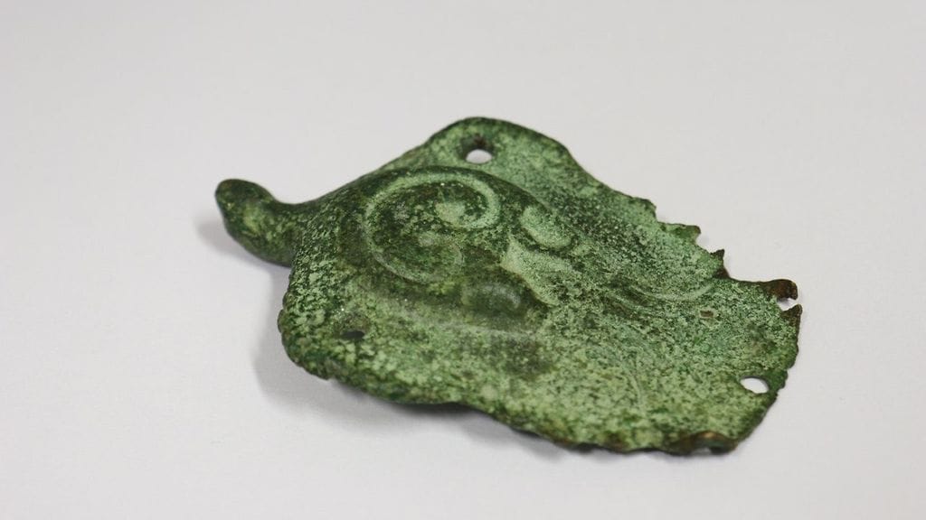 Riipus toimitettiin Museovirastolle, ja se pääsee osaksi kansallista arkeologista esinekokoelmaa.