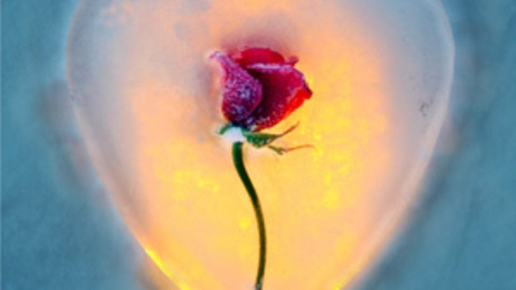 Kukkasydän (Kuva: Pekka Sakki/Lehtikuva)