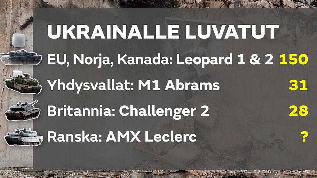 2303_leopard_luvatut_gr