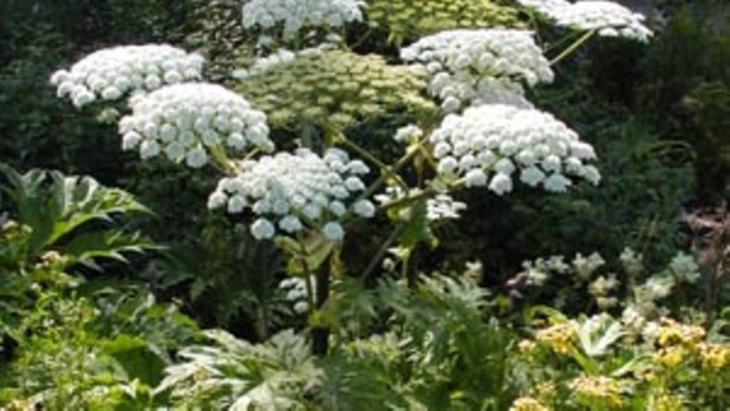 Kuva: Terhi Ryttäri