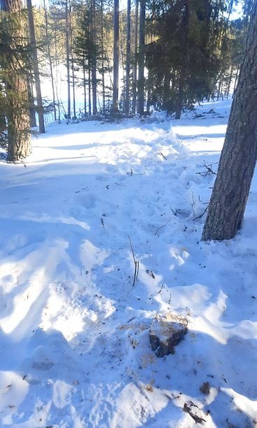 2_oulanka-kp_kaadettu-manty