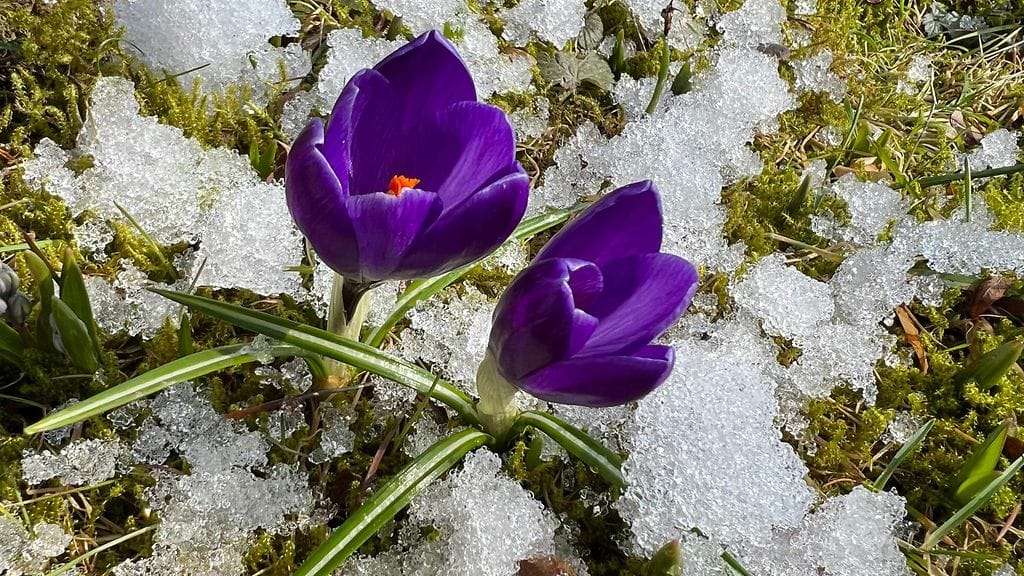 Arto Lehtinen, Uusikaupunki