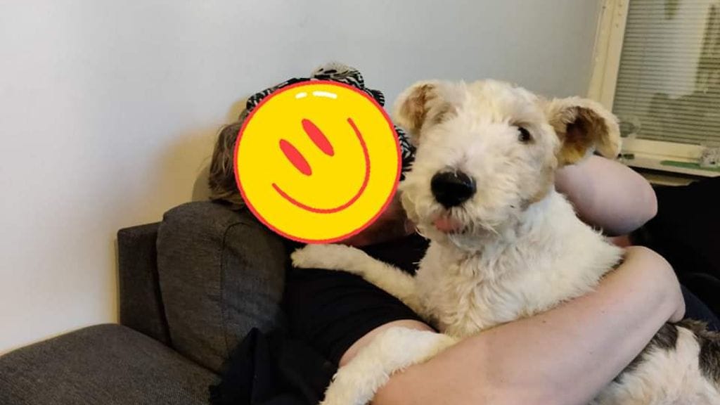 338015296_191695886970514_1322289533349951628_n