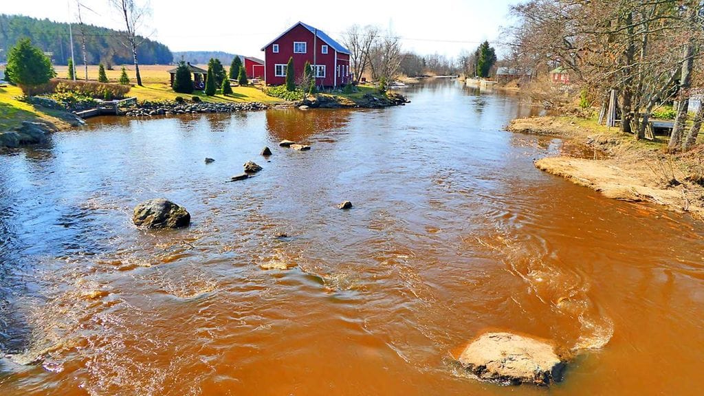 Kevättä ilmassa Mynämäellä 12.4.2023