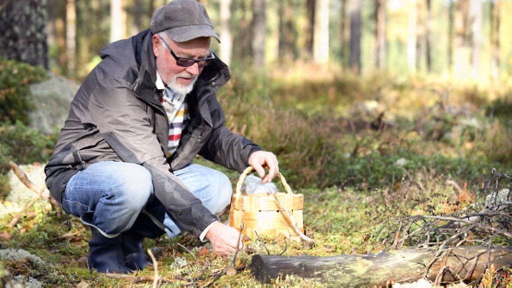 Vilkkaasti liikennöityyn tiehen on syytä pitää sienestäessä ja marjastaessa 50–100 metrin väli.