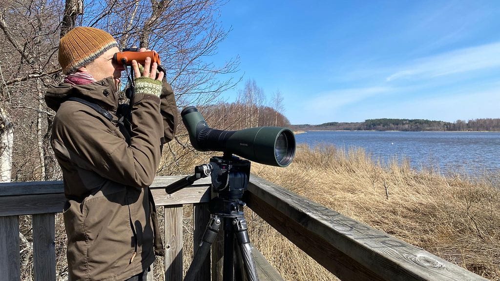 Aleksi Lehikoinen, yli-intendentti, Luomus