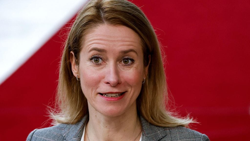 Viron pääministerinä jatkaa reformipuolueen Kaja Kallas.